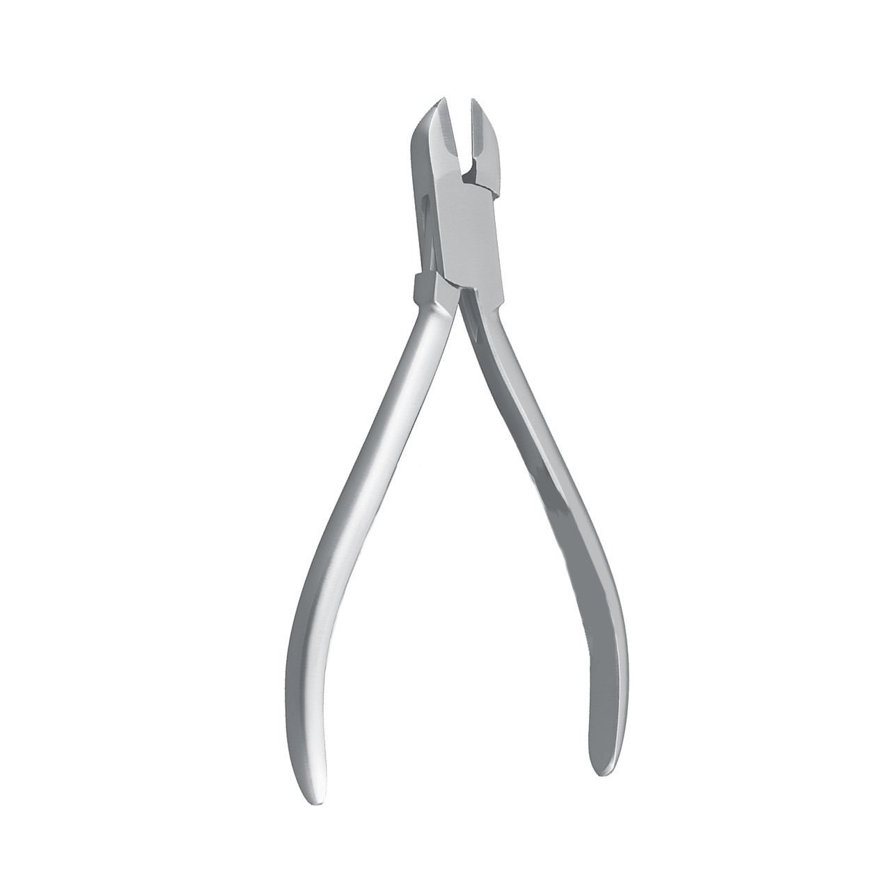 Ortonyxi afbidertang, 13 cm