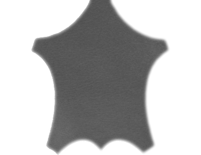 Kalveskind Royal,  sort