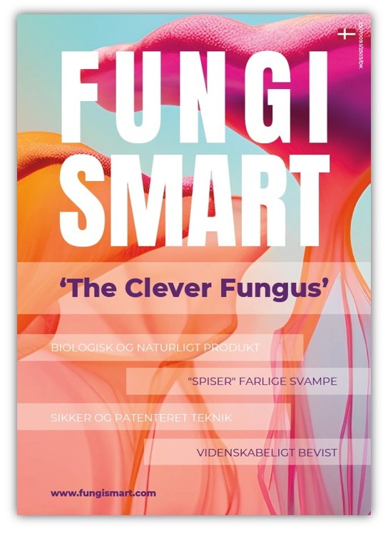 FungiSmart, Plakat 1, A4