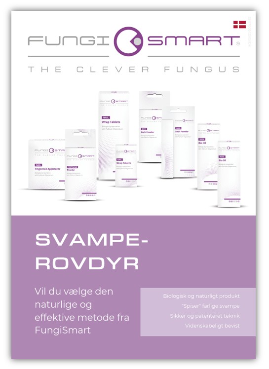 FungiSmart, Plakat 2, A4
