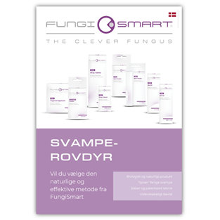 FungiSmart, Plakat 2, A4