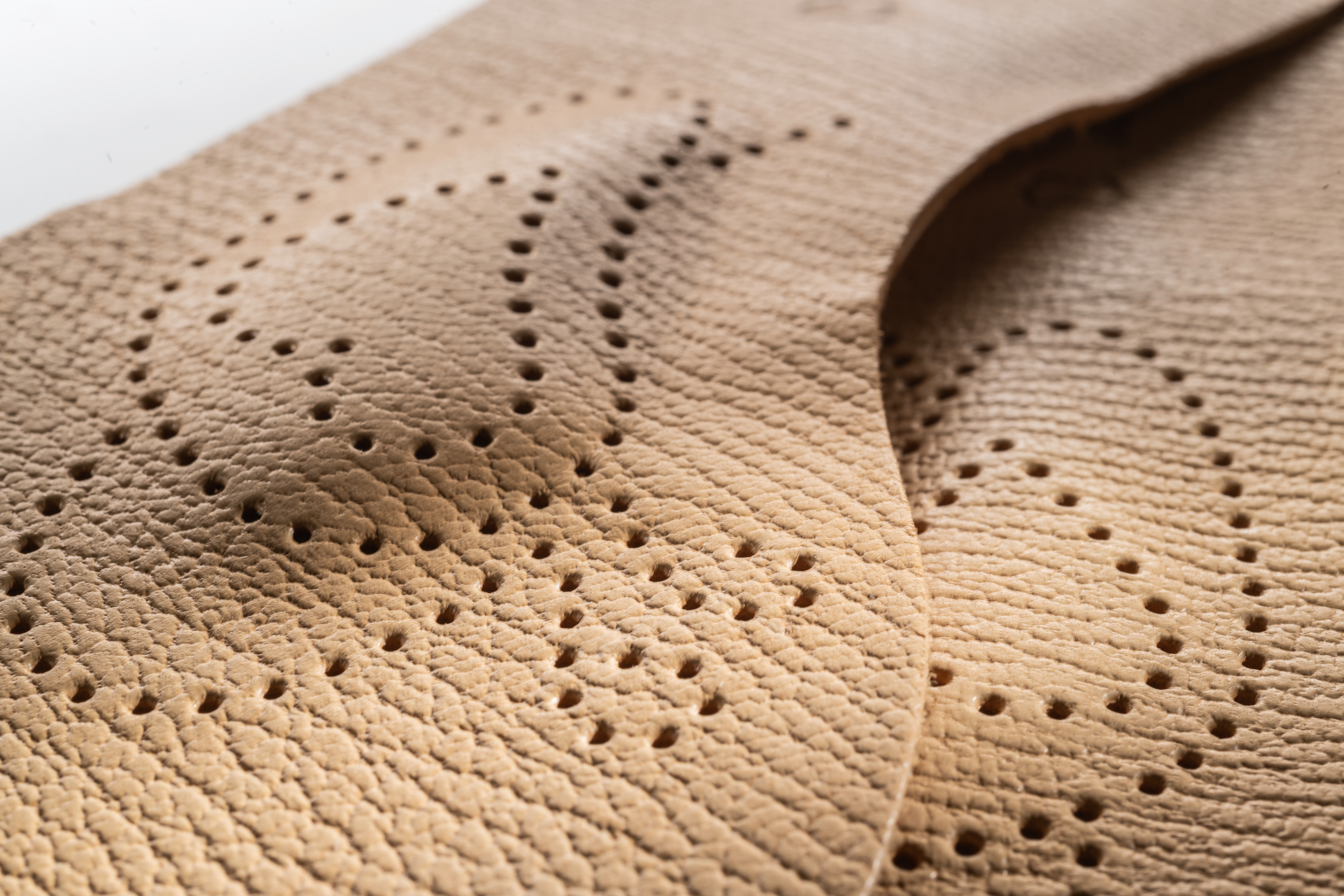 Pedag forfodsindlæg, Lady