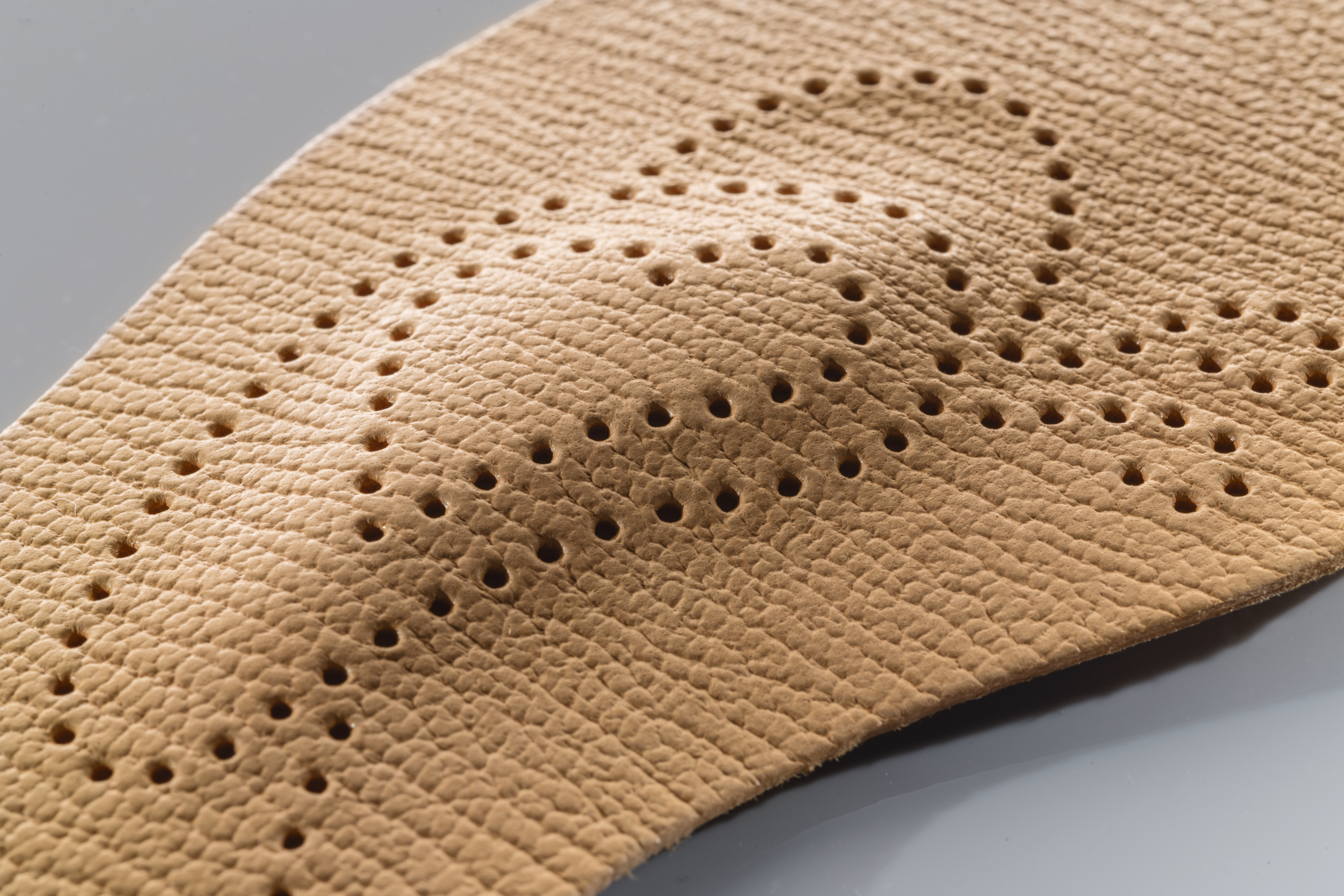 Pedag forfodsindlæg, Lady