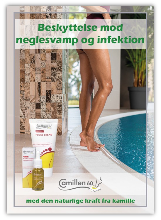 Camillen plakat, Fudes, A2