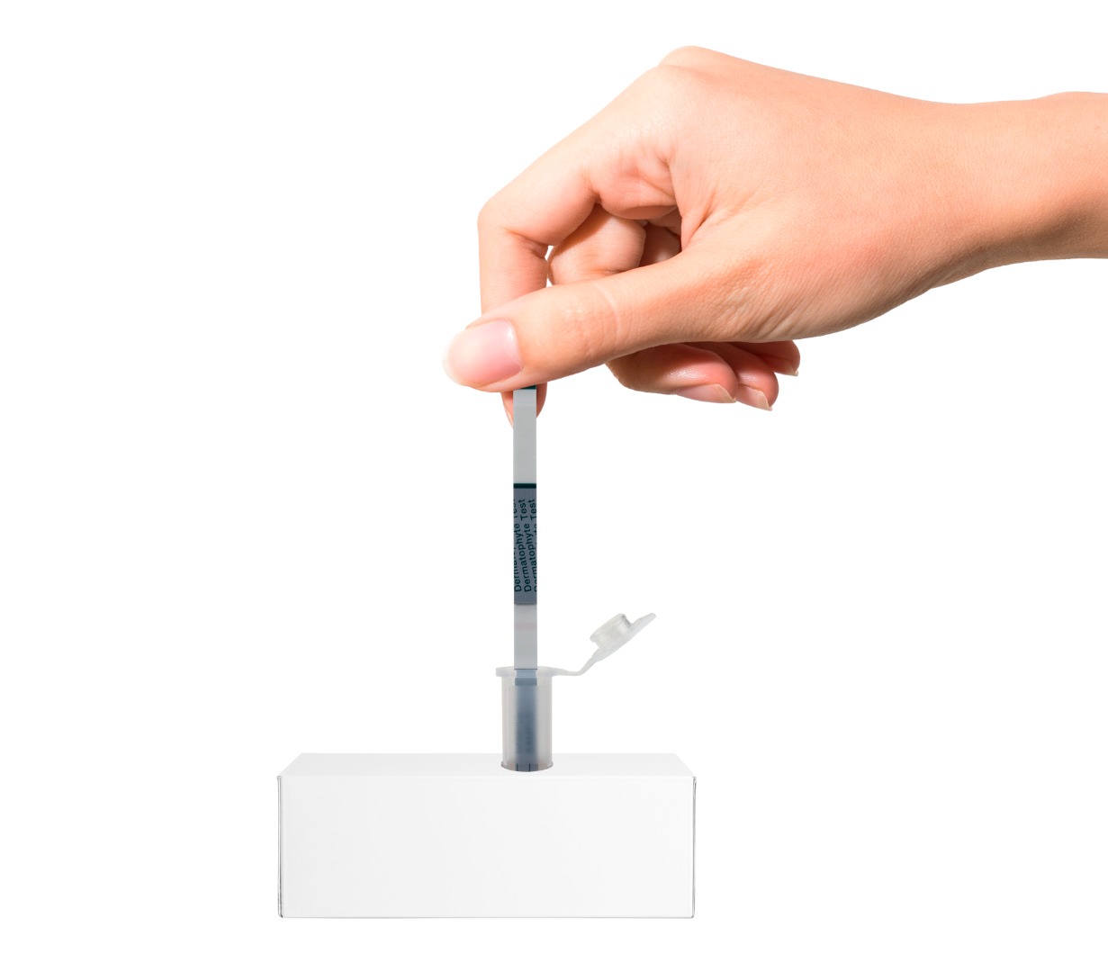 Hfl, Fungicheck, Test Kit